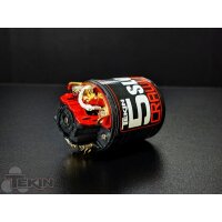 SLVR 5 Slot Rock Crawler Brushed Motor 12Turn TEKIN