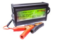 LiFePO 4 Battery Charger 14.6V 20A