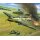 Ilyushin IL-2 Stormovik