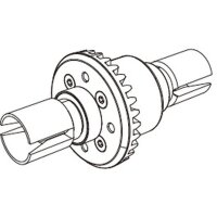 Hinteres Differential