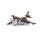 Soviet attack aircraft SU-25 Frogfoot
